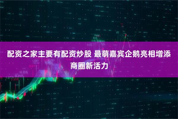 配资之家主要有配资炒股 最萌嘉宾企鹅亮相增添商圈新活力