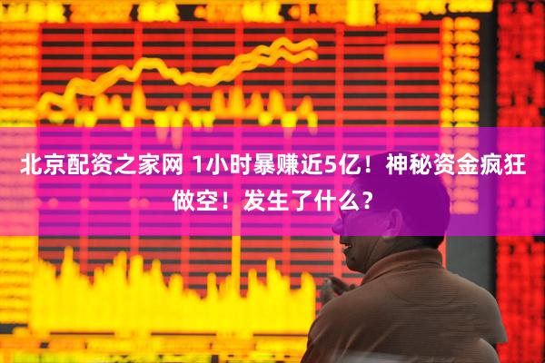 北京配资之家网 1小时暴赚近5亿！神秘资金疯狂做空！发生了什么？